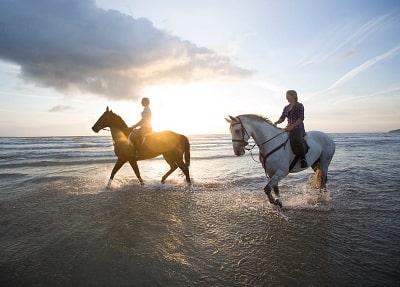 Horse Riding in Bodrum