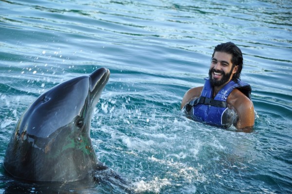 Плавание с дельфинами из Мармариса